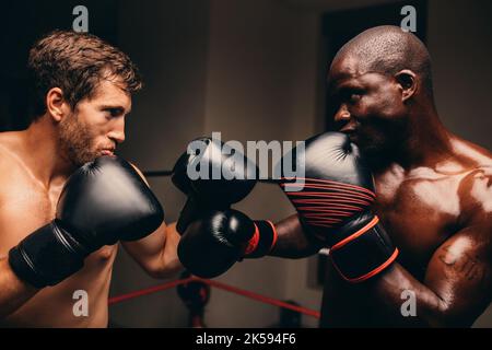 Zwei entschlossene Boxer, die sich in einem Boxring gegenüberstehen. Zwei junge Boxer machen sich bereit, während eines Boxkampfes zu kämpfen. Stockfoto