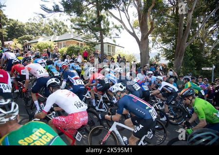 Das Männerpeloton klettert während des Elite Men's Road Race, der UCI Road Cycling World Championships 2022 in Wollongong, Australien, auf engstem Raum Stockfoto