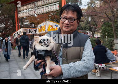 23.12.2017, Japan, Kyoto, Kyoto - Ein Mann trägt seinen kleinen Chihuahua Hund in seinen Armen in einem öffentlichen Park, in den er eine Jacke und eine Motorradbrille gesteckt hat Stockfoto