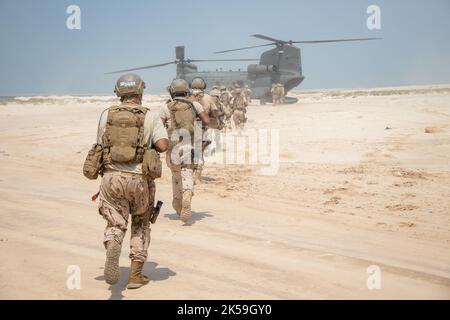 Soldaten der Präsidentengarde der Vereinigten Arabischen Emirate und US-Marinesoldaten mit 3. Bataillons, 5. Marine Regiment, 1. Marine Division, besteigen einen CH-47 Chinook Hubschrauber während der Übung Intrepid Maven 22,4 in den Vereinigten Arabischen Emiraten, 26. September 2022. Intrepid Maven 22,4 ist eine Serie von Einsätzen des US Marine Corps für die Central Command-Streitkräfte, die für bilaterale und multilaterale Ausbildungsverpflichtungen mit Partnerländern und Marine Corps-Streitkräften entwickelt wurde. (USA Marine Corps Foto von Sgt. Jacob Yost) Stockfoto