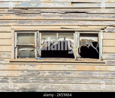 Ausgefranste Vorhänge hängen in den Fenstern einer verlassenen Hütte. Stockfoto
