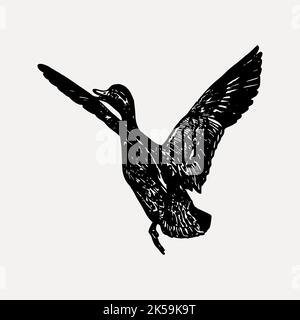 Fliegende Gans Zeichnung, vintage Tier Illustration Vektor. Stock Vektor