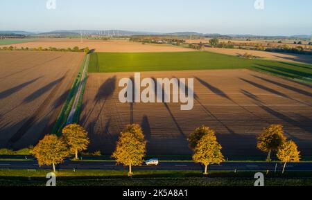 Pattensen, Deutschland. 07. Oktober 2022. Autos fahren morgens bei Sonnenaufgang durch eine Allee mit herbstbunten Bäumen in der Region Hannover. (Luftaufnahme mit einer Drohne) Quelle: Julian Stratenschulte/dpa/Alamy Live News Stockfoto