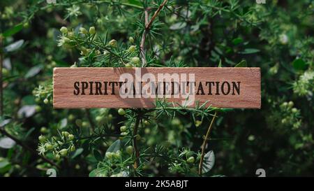 Spirituelle Meditation. Geschrieben auf Holzoberfläche. Hintergrundbaumblätter. Psychische Gesundheit und Lebensstil. Stockfoto