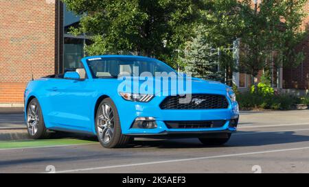 FERNDALE, MI/USA - 20. AUGUST 2016: Ein 2016 Ford Mustang in der Mustang Alley, Woodward Dream Cruise. Stockfoto