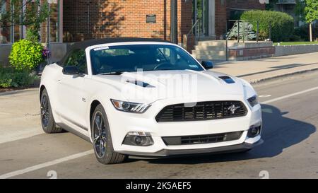 FERNDALE, MI/USA - 20. AUGUST 2016: Ein 2016 Ford Mustang GT in der Mustang Alley, Woodward Dream Cruise. Stockfoto