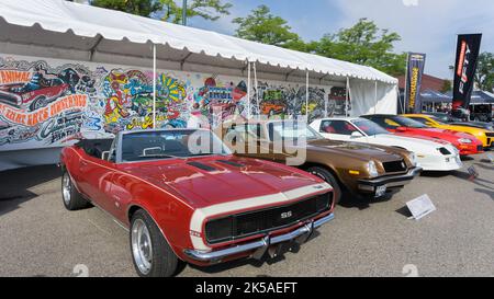 BIRMINGHAM, MI/USA - 19. AUGUST 2016: Chevrolet Camaro, 50.. Geburtstag, mit dem Titel: „Camaro: Ein kleines, bösartiges Tier, das Mustangs isst“, Woodward Stockfoto