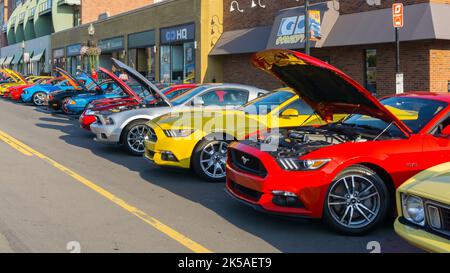 FERNDALE, MI/USA - 20. AUGUST 2016: Zwölf Ford Mustang Autos in der Mustang Alley, Woodward Dream Cruise. Stockfoto