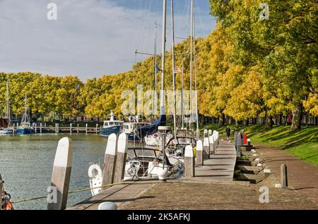 Enkhuizen, Niederlande, 4. Oktober 2022: Blick auf den Kai von Buitenhaven (äußerer Hafen), gesäumt von goldenen Eschen Stockfoto