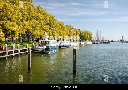 Enkhuizen, Niederlande, 4. Oktober 2022: Malerische Szene des Buitenhaven (äußerer Hafen) mit Eschen in Herbstfarben Stockfoto