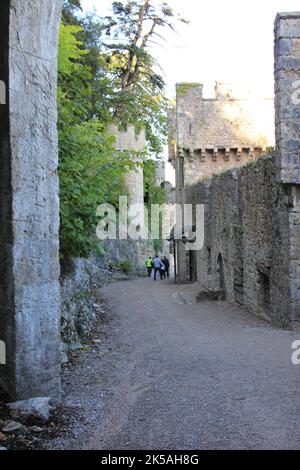 Gwrych Castle in Wales Stockfoto