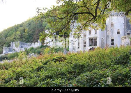 Gwrych Castle in Wales Stockfoto