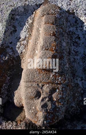 Hethiter-Denkmal Fasıllar Dorf Beyşehir Konya Türkei Stockfoto