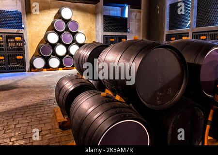 Weinfässer. Weingut in Spanien, das französische Eichenfässer hält, um den Wein zu gären. Stockfoto