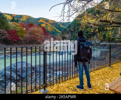 Wanderer, die den Tama River und das Herbst-/Herbstlaub im Mitake Valley mit Gingko-Blättern auf dem Boden betrachten (Tokio, Japan) Stockfoto