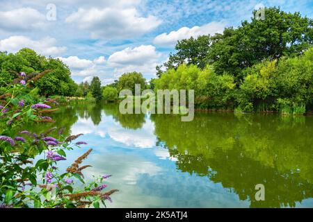 Blick auf Mount Pond im Clapham Common Park. London. England, Großbritannien Stockfoto