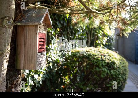 Insektenhotel mit Dach und Löchern, die auf einem Baum im Hof eines Hauses hängen Stockfoto