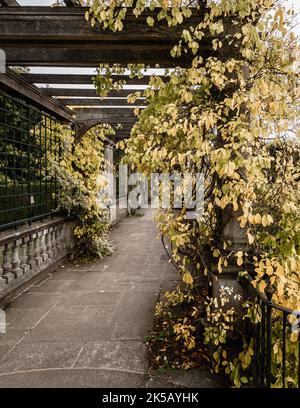 Ein ruhiger geheimer Garten im Londoner Hampstead Stockfoto