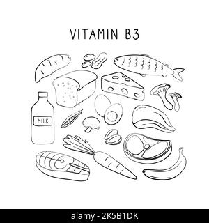 Vitamin B3 Niacinamid Vitamin PP Niacin Nicotinamid. Gruppen von gesunden Lebensmitteln, die Vitamine enthalten. Set aus Obst, Gemüse, Fleisch, Fisch und Dair Stock Vektor