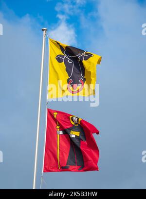 Kantonale Flaggen an der Grenze der Kantone Uri (gelbe Flagge) und Glarus (rote Flagge) am Klausenpass in der Schweiz Stockfoto