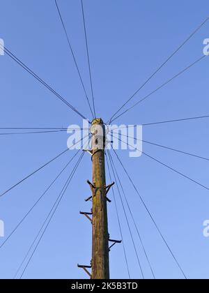 Holzmast mit Drähten, die um den ganzen Kreis gegen den blauen Himmel strahlen. Stockfoto