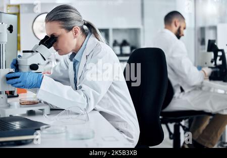 Laborfrau, Mikroskop oder medizinische Forschung von kovidierten Proben, Krebsbiopsie oder DNA-Engineering-Analysen. Reifer Wissenschaftler mit wissenschaftlichen Geräten Stockfoto