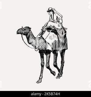 Kamel Reiter Zeichnung, vintage Illustration Vektor. Stock Vektor