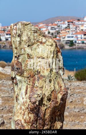 Versteinerter Baumstamm im versteinerten Wald der Insel Lesvos, in der Nähe des Dorfes Sigri, Griechenland. Der Wald ist Teil des Global Geoparks Network. Stockfoto