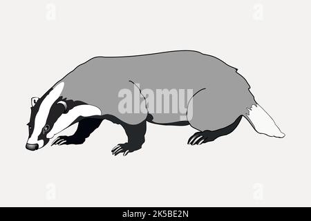 Dachs, Cliparts für Tiere, Illustrationsvektor. Stock Vektor