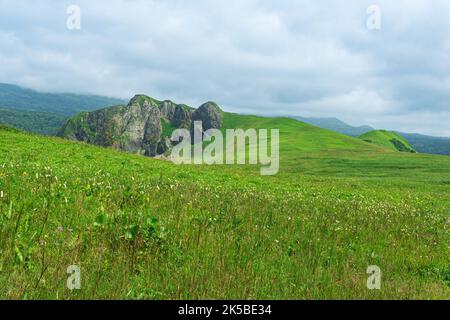 Schöne Landschaft der Insel Kunashir mit grasbewachsenen Hügeln und Basaltfelsen, konzentrieren sich auf die Nähe Forbs Stockfoto