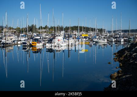 Die Port Sidney Marina mit Segelbooten spiegelte sich im Wasser unter einem klaren blauen Himmel wider Stockfoto