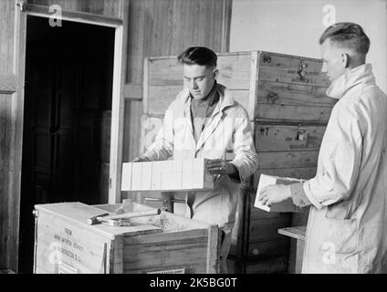 Army, U.S. Army Medical School; Typhus-Impfstoff, 1917. Stockfoto