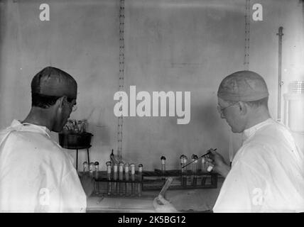 Army, U.S. Army Medical School; Typhus-Impfstoff, 1917. Stockfoto