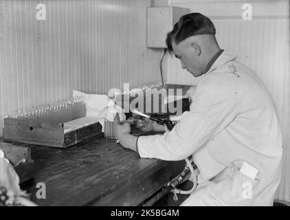 Army, U.S. Army Medical School; Typhus-Impfstoff, 1917. Stockfoto