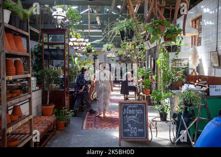 „Our Local“ Restaurant in der Kloof Street - Kapstadt, Südafrika Stockfoto