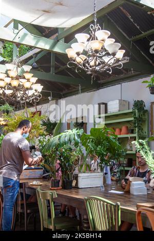 „Our Local“ Restaurant in der Kloof Street - Kapstadt, Südafrika Stockfoto