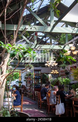 „Our Local“ Restaurant in der Kloof Street - Kapstadt, Südafrika Stockfoto