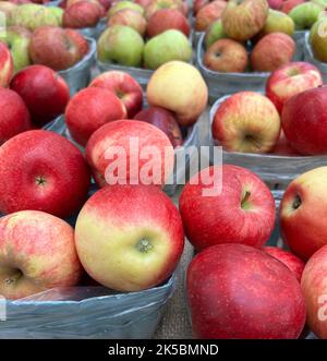 Körbe mit frisch geernteten Äpfeln an einem Stand am Straßenrand in New York. Stockfoto