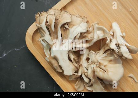 Schwarzer Pilz auf weißem Hintergrund mit Kopierraum Stockfoto