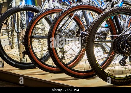 Schwalbe Styx MTB-Reifen für die Hinterräder von Mountainbikes auf einem Verkaufsstand, Hannover, 17. September 2022 Stockfoto