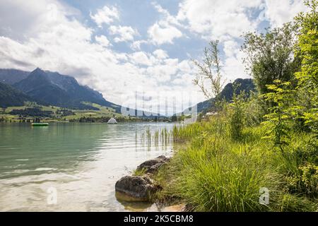 Blick vom Uferbereich über den Walchsee, links das Kaisergebirge mit dem Zahmen Kaiser, Walchsee, Kaiserwinkl, Kreis Kufstein, Tirol, Österreich Stockfoto