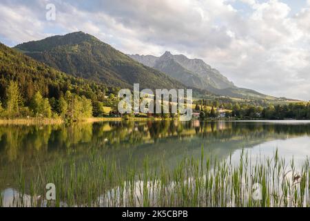 Blick über den Walchsee auf das Kaisergebirge mit Heuberg (1603 m) und die Gebirgskette des Zahmen Kaiser, Kaiserwinkl, Tirol, Österreich Stockfoto