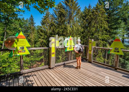 Baumkronenweg Saarschleife auf dem Kleebl in Mettlach-Orscholz, Naturpark Saar-Hunsrück, Saarland, Deutschland Stockfoto