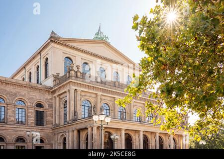 Morgen am Opernhaus in der grünen Stadt Hannover, Niedersachsen, Deutschland Stockfoto