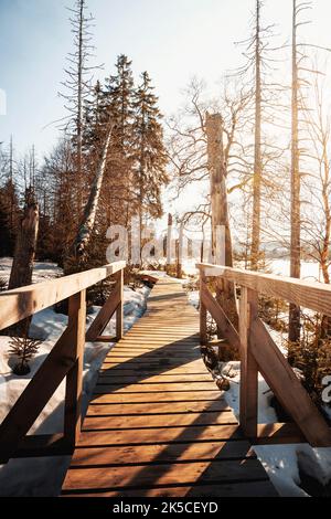 Winter am Oderteich Stausee im Harz bei Goslar und Braunlage, Niedersachsen, Deutschland, Europa Stockfoto