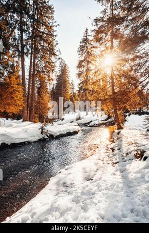 Winter am Oderteich Stausee im Harz bei Goslar und Braunlage, Niedersachsen, Deutschland, Europa Stockfoto