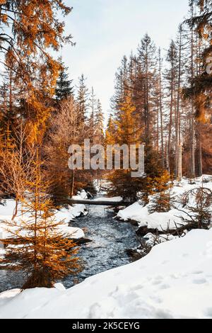 Winter am Oderteich Stausee im Harz bei Goslar und Braunlage, Niedersachsen, Deutschland, Europa Stockfoto