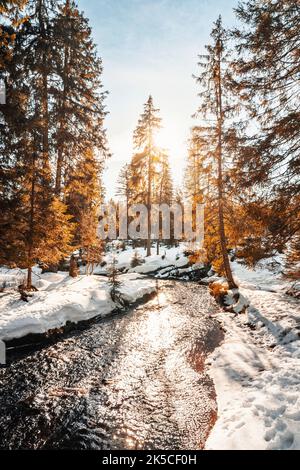 Winter am Oderteich Stausee im Harz bei Goslar und Braunlage, Niedersachsen, Deutschland, Europa Stockfoto