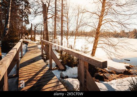 Winter am Oderteich Stausee im Harz bei Goslar und Braunlage, Niedersachsen, Deutschland, Europa Stockfoto