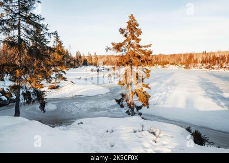 Winter am Oderteich Stausee im Harz bei Goslar und Braunlage, Niedersachsen, Deutschland, Europa Stockfoto